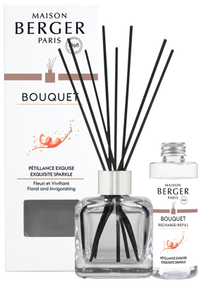 Аромадиффузор Брызги шампанского 100мл